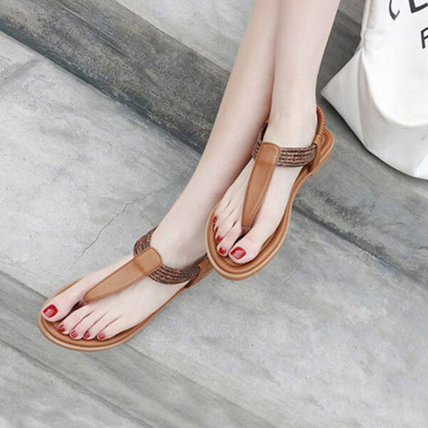 American Summer Time Flat Belt Sandal - Brown