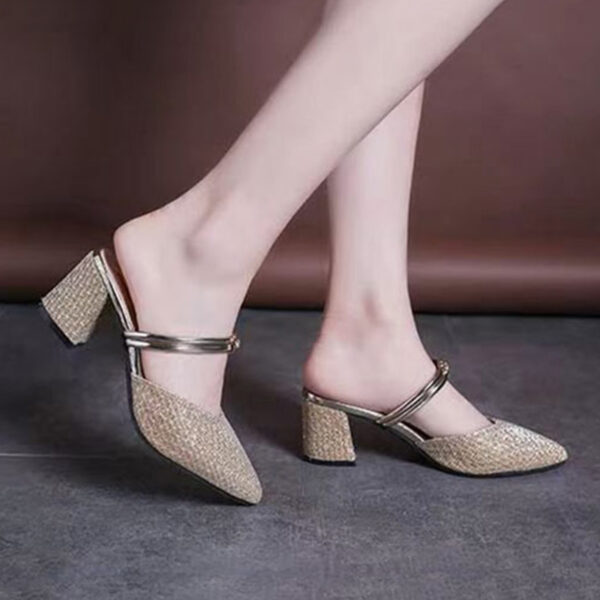 Pointed Toe Dual Purpose Block Heel - Brown
