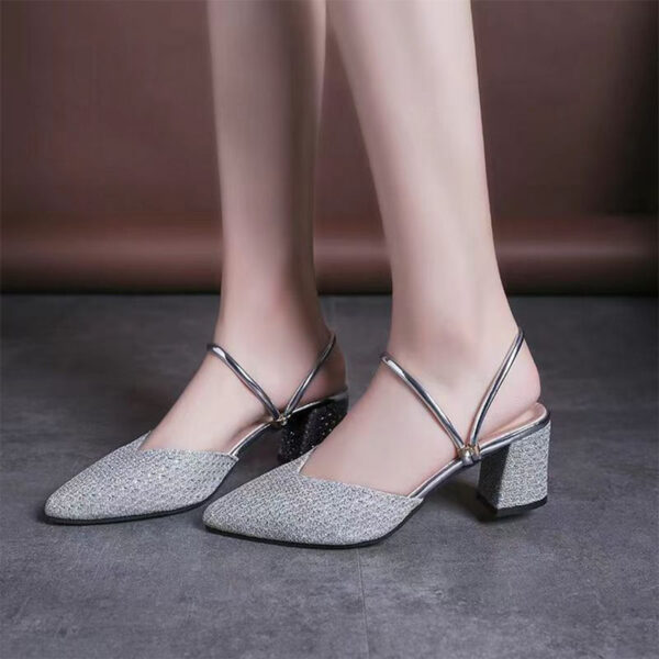 Pointed Toe Dual Purpose Block Heel - Silver