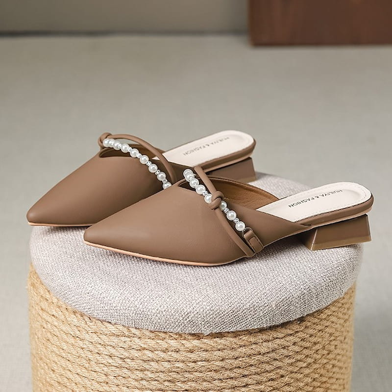 Pointed Toe Gentle Fairy Mule Shoe - Brown