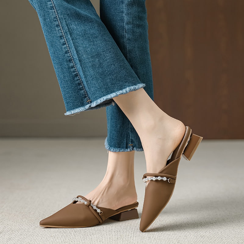 Pointed Toe Gentle Fairy Mule Shoe - Brown