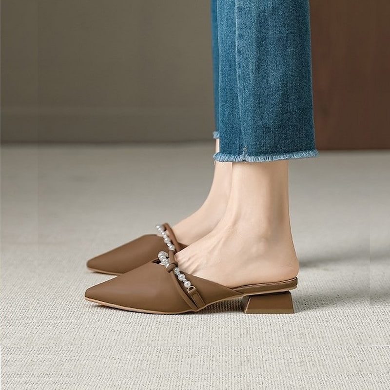 Pointed Toe Gentle Fairy Mule Shoe - Brown